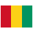 Guinea icon