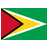 Guyana icon