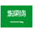 Saudi Arabia icon